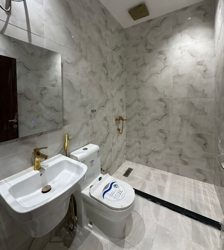 WhatsApp Image 2026-02-17 at 11.17.05 AM